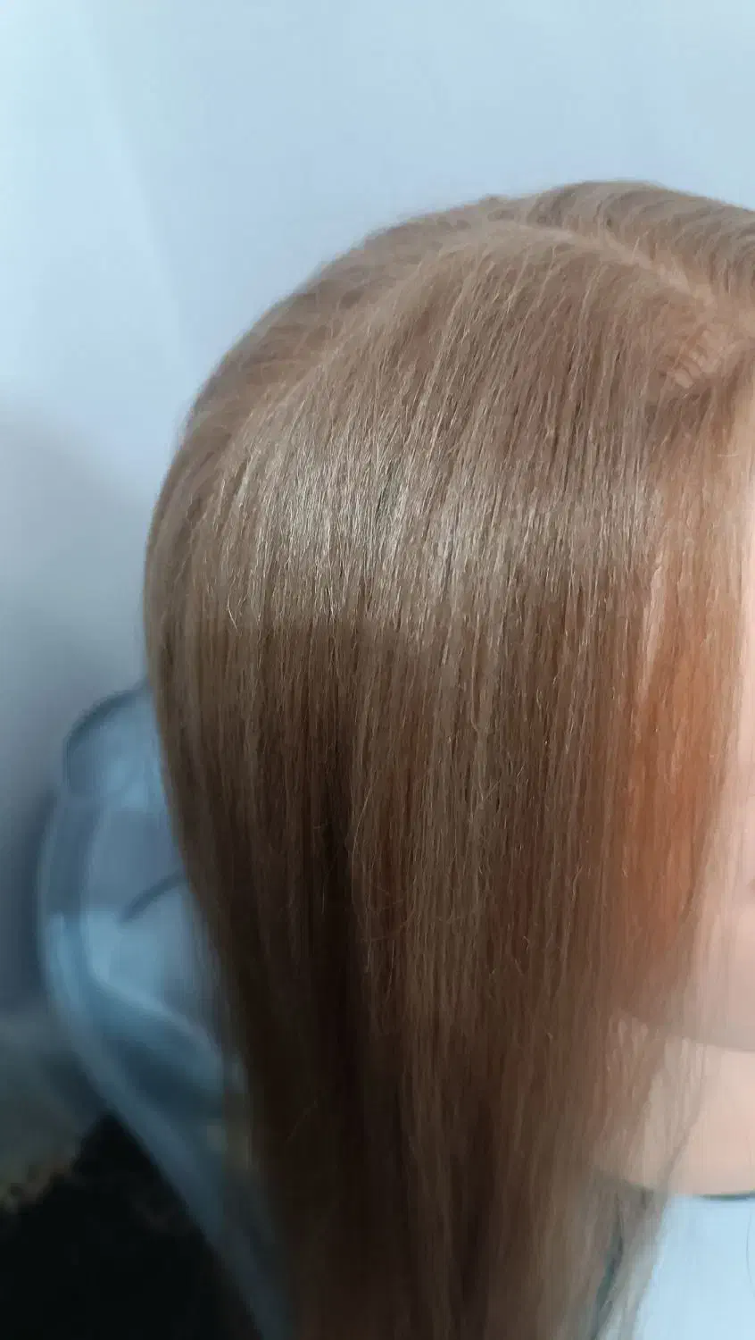 کله مانکن|آرایشگاه و سالن‌های زیبایی|اردبیل, |دیوار