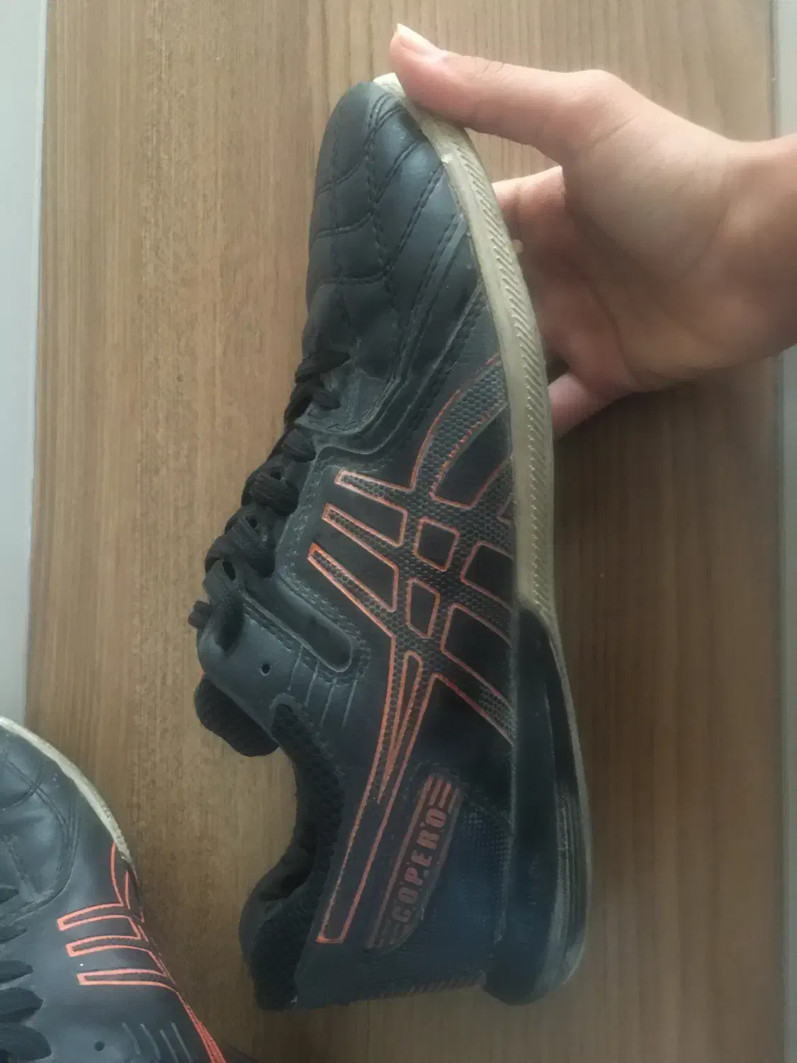 کتونی سالنی اورجینال|کیف، کفش، کمربند|فیروزآباد (فارس), |دیوار