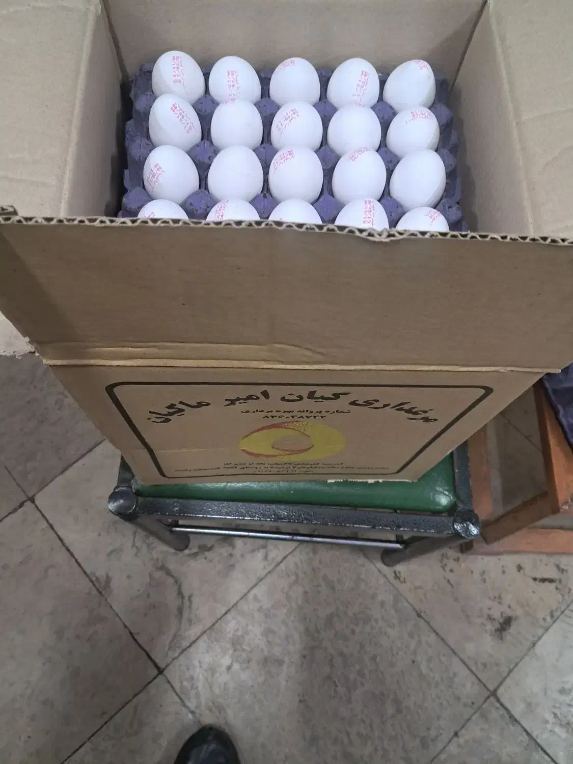 پخش و فروش عمده تخم مرغ|خوردنی و آشامیدنی|تهران, مینابی|دیوار