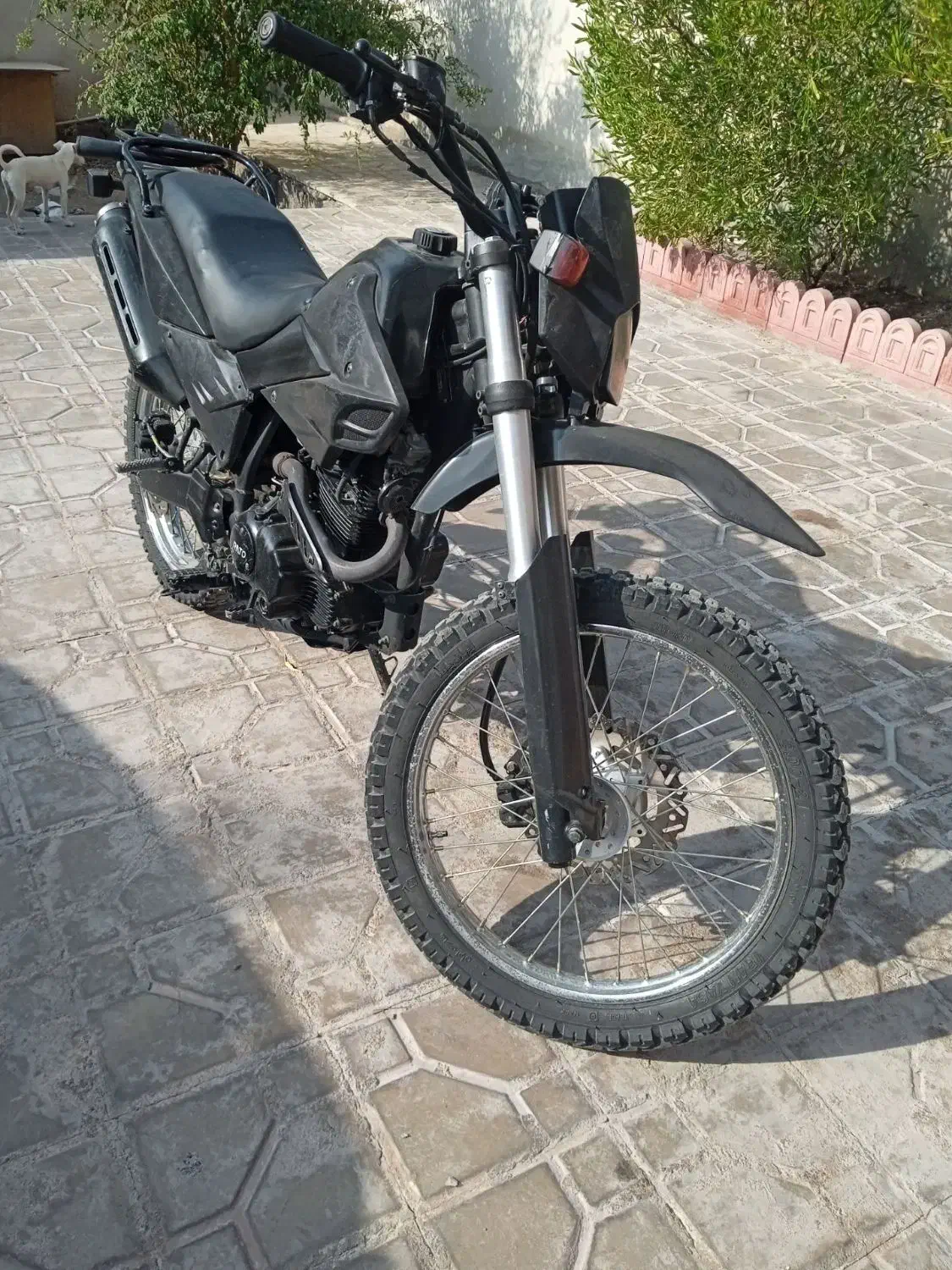 موتور تریل راتو|موتورسیکلت|بم, |دیوار