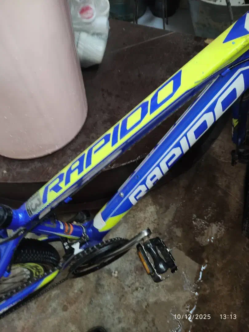 دوچرخه ۲۴ راپیدو.|دوچرخه، اسکیت، اسکوتر|مسجد سلیمان, |دیوار