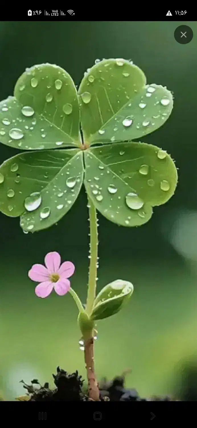 آپارتمان ۱۳۰متری،سرمعلم،پاسداران|اجارهٔ آپارتمان|سبزوار, پاسداران|دیوار