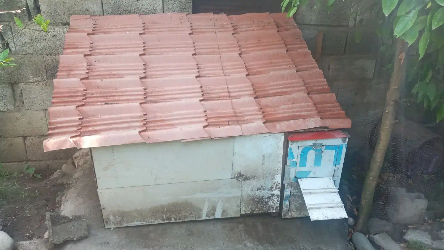 فروش لانه مرغ و خروس|لوازم جانبی حیوانات|تنکابن, |دیوار