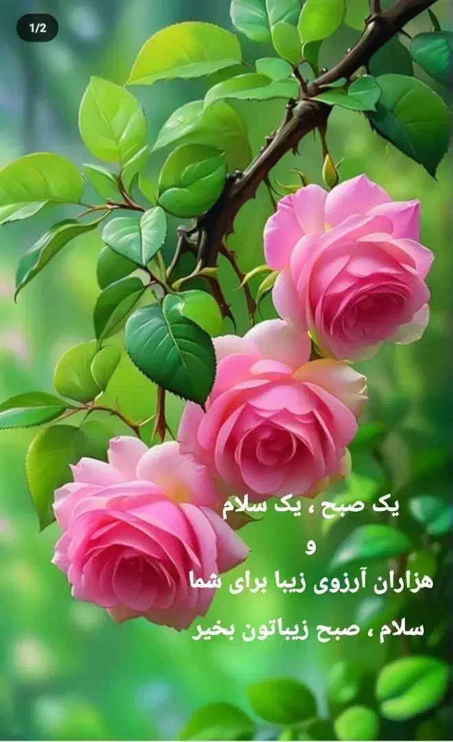 تولید محتوا  برای پیج|استخدام هنری و رسانه|اهواز, کمپلو جنوبی|دیوار