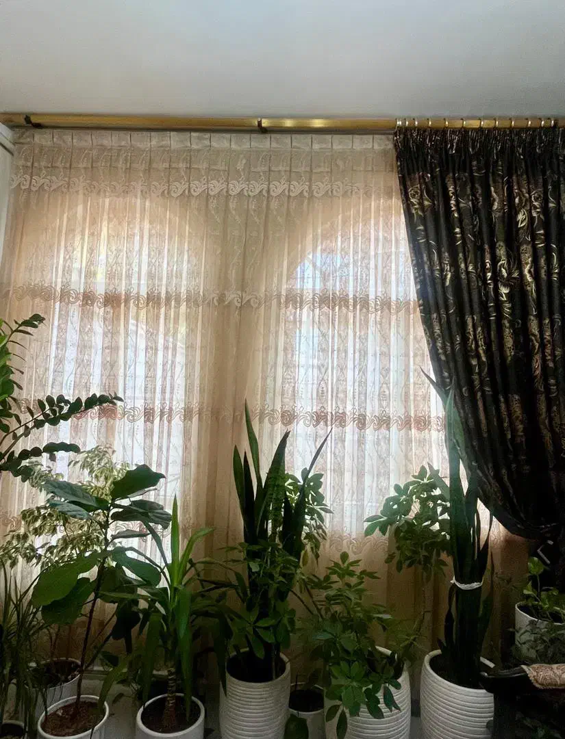 پرده پذیرایی|پرده، رانر، رومیزی|قزوین, |دیوار