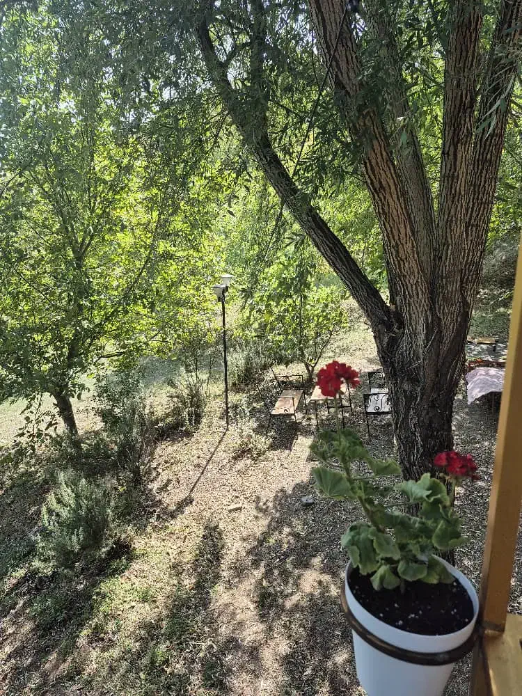 اجاره روزانه/هفتگی/ماهانه ویلا ۷۰ متری در حومه رشت|اجارهٔ کوتاهمدت ویلا و باغ|رشت, حومه رشت|دیوار