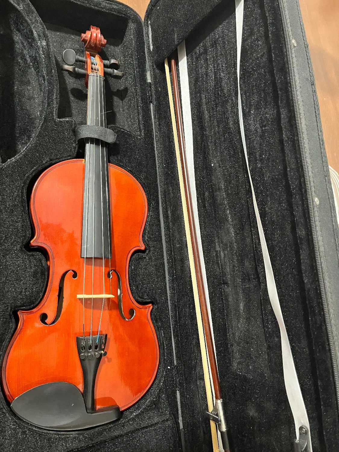 ویولون|ویولن|رفسنجان, |دیوار