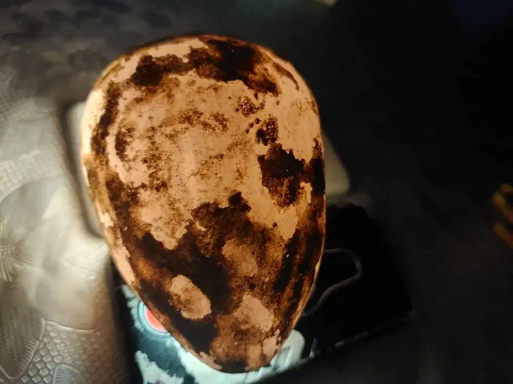 کتاب دعا وحرز|خدمات پذیرایی، مراسم|کهریزک, |دیوار