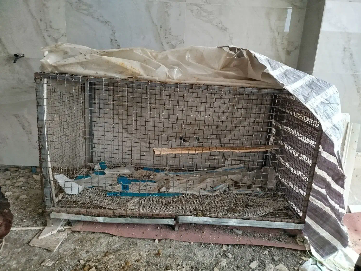 قفس پرنده و مرغ و خروس|لوازم جانبی حیوانات|میانه, |دیوار