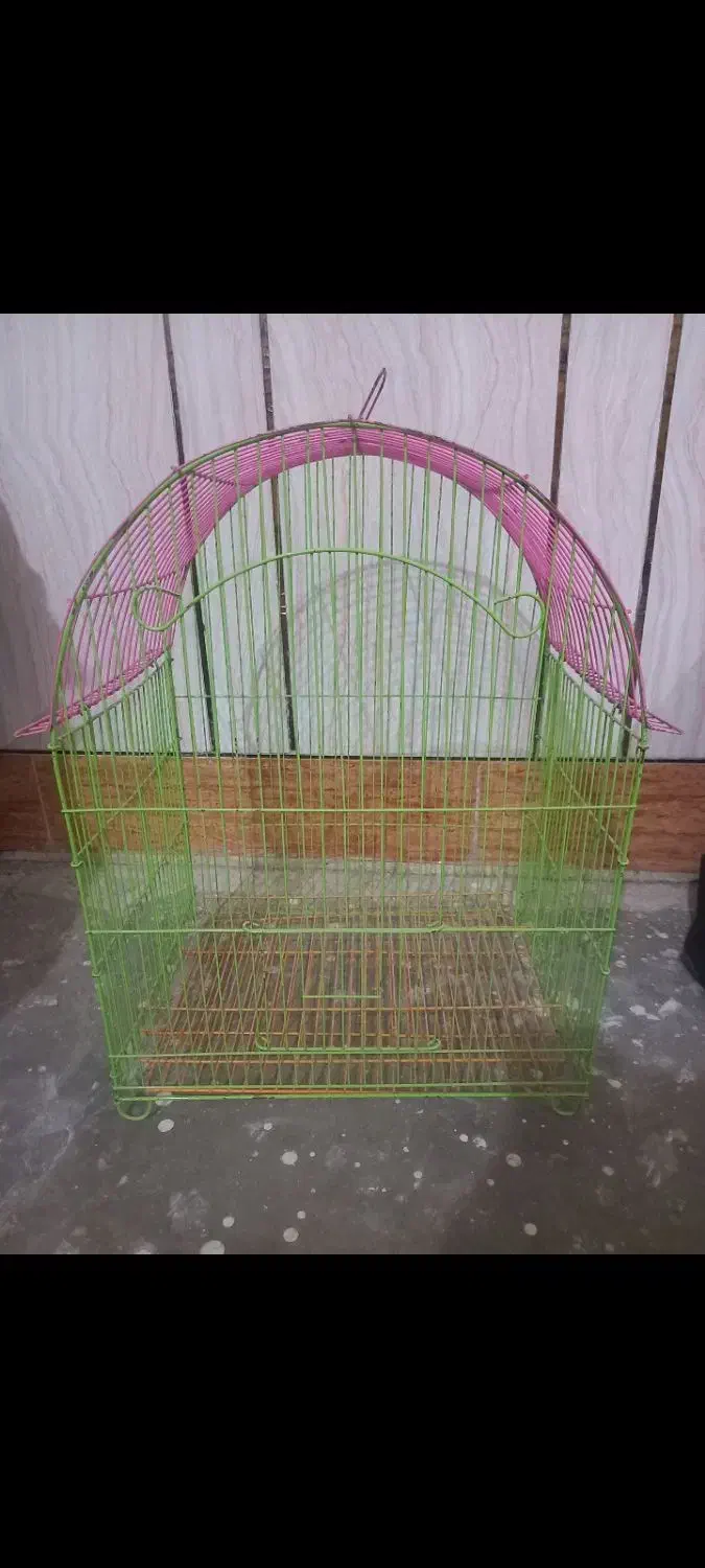 قفس|پرنده|مسجد سلیمان, |دیوار