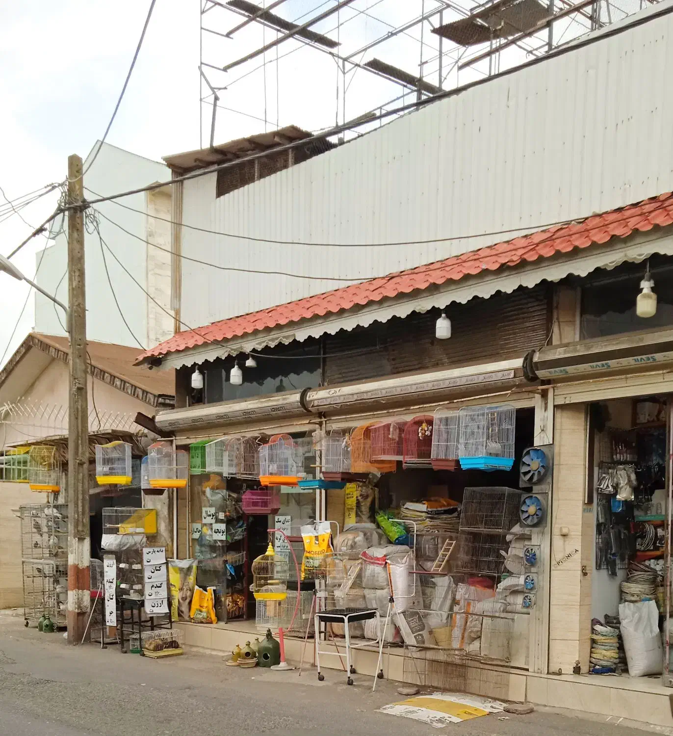 انواع دانه و پرنده و لوازم جانبی پرندگان|لوازم جانبی حیوانات|رشت, دیانتی|دیوار