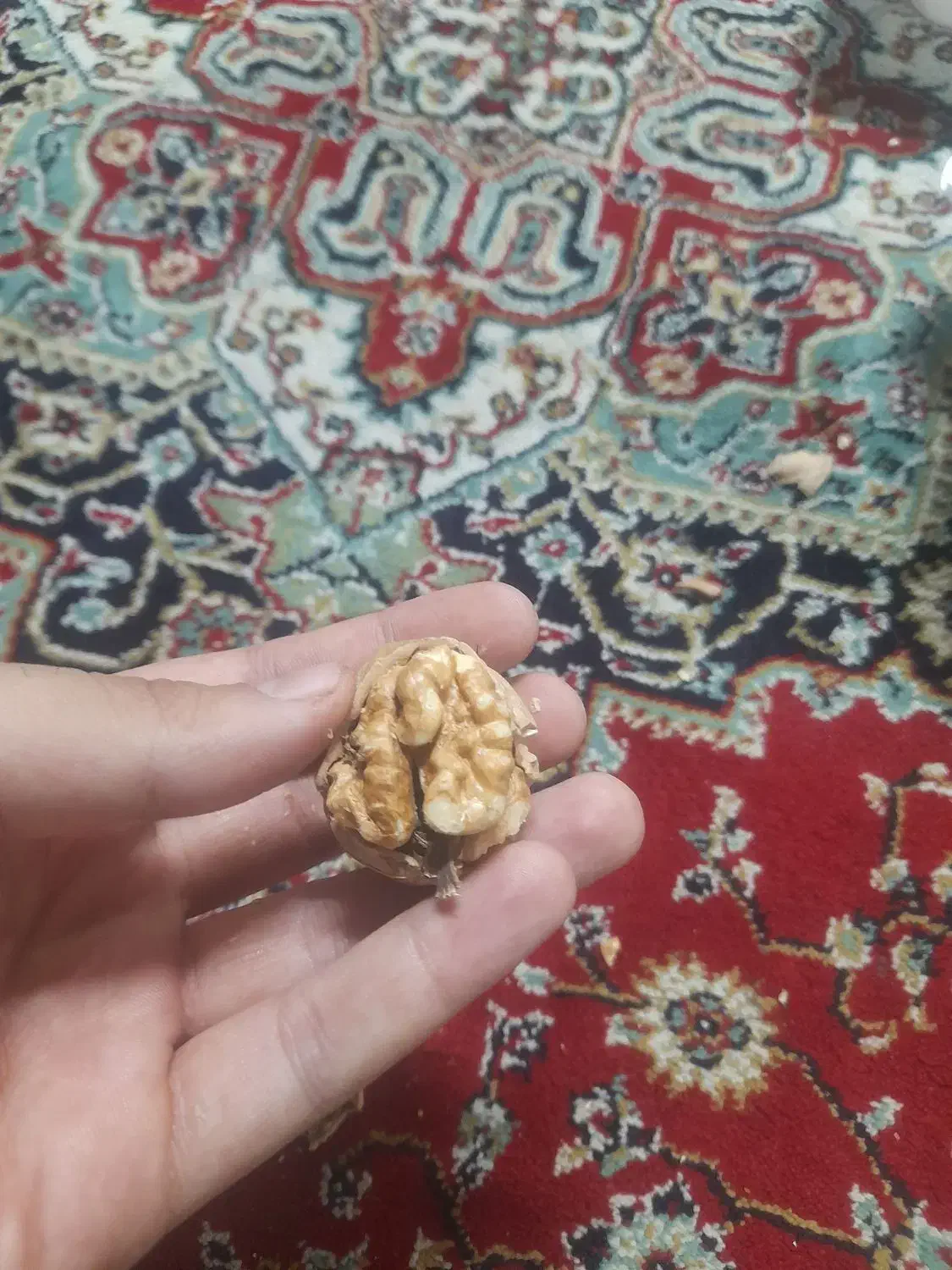 گردو|خوردنی و آشامیدنی|اصفهان, بوزان|دیوار