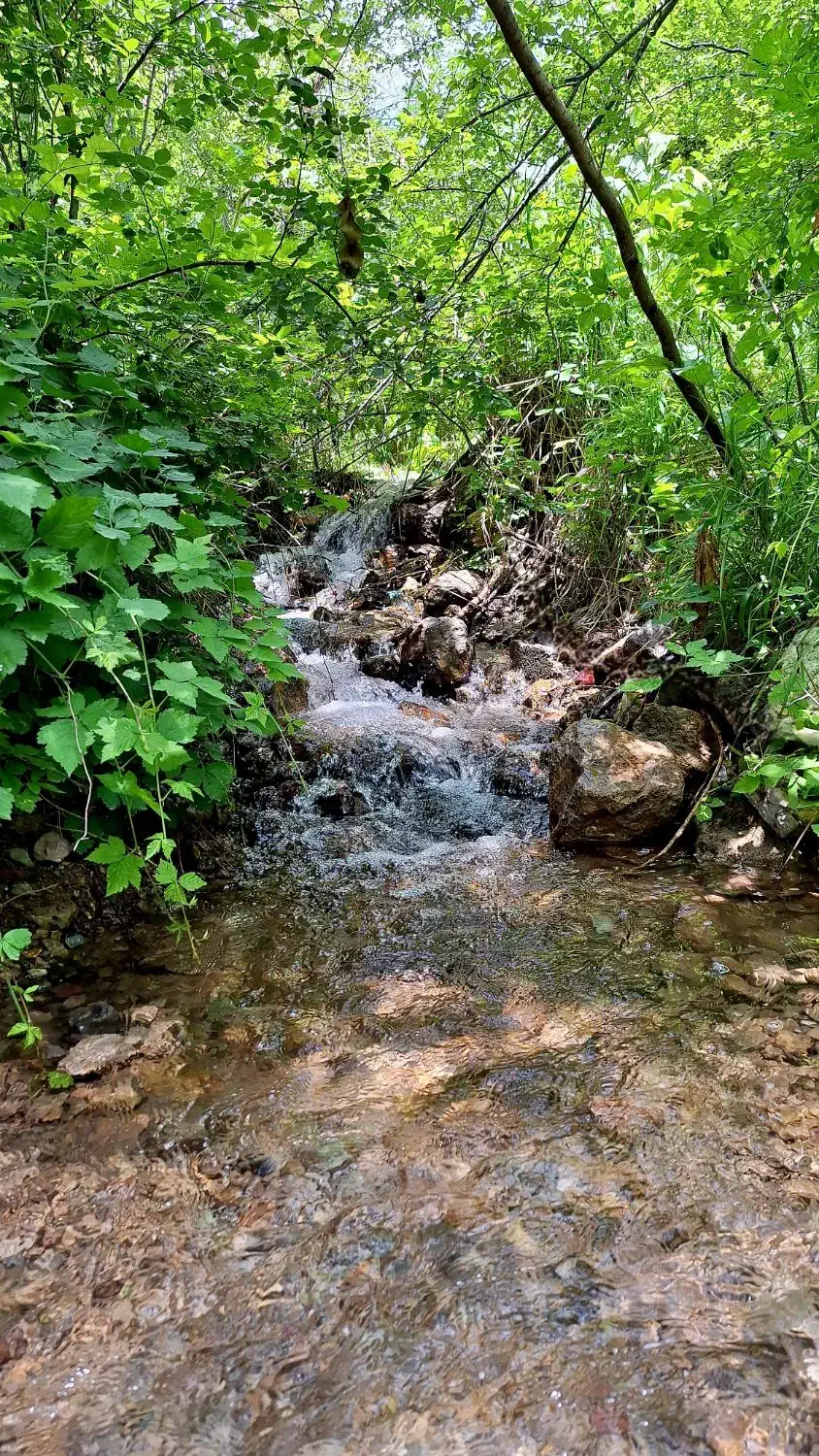 زمین سنددار ۴۰۰ متری در جاده چالوس شهرستانک)|فروش زمین و ملک کلنگی|تهران, دربند|دیوار