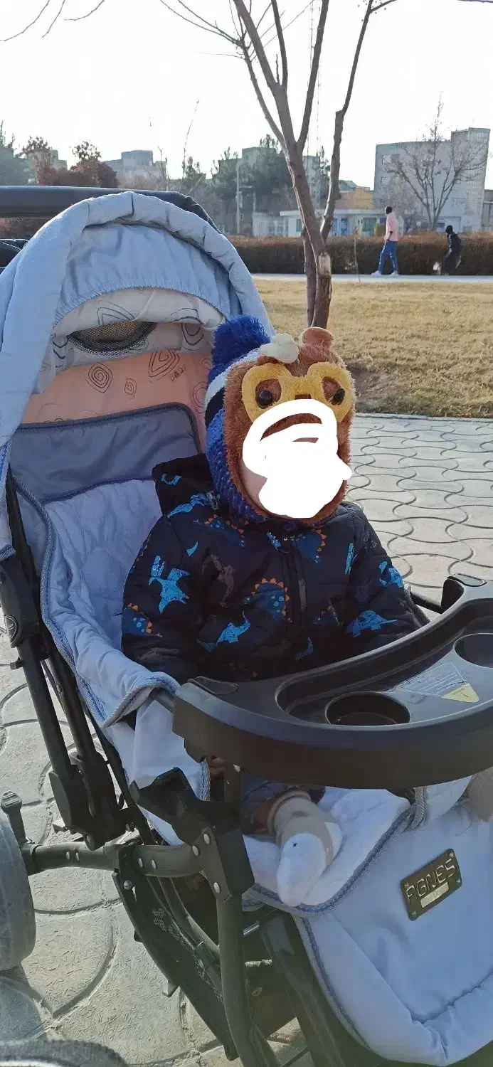 سرویس کالسکه|کالسکه و لوازم جانبی|بجنورد, |دیوار