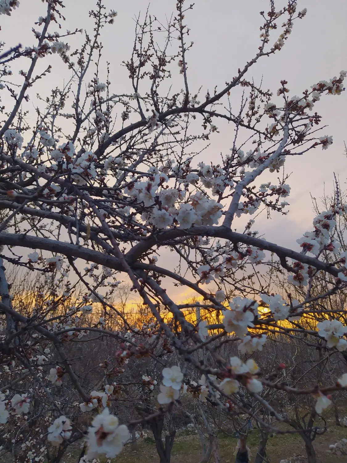 تصویر 8