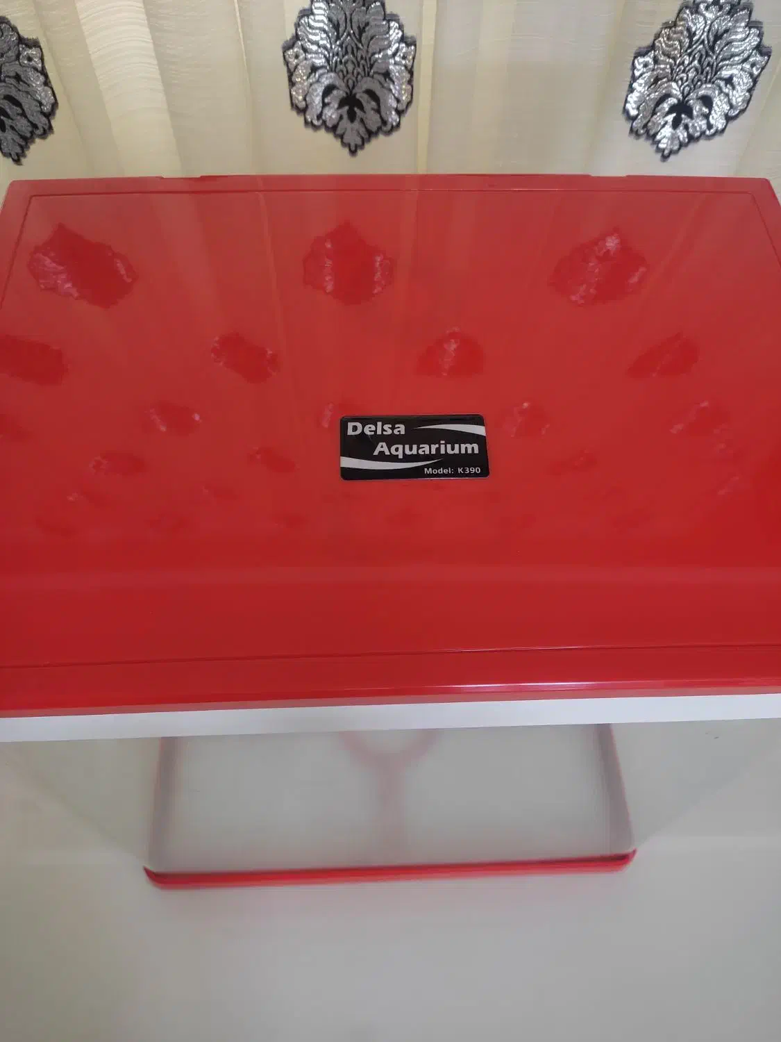 آکواریوم سالم و زیبا|ماهی|گرگان, |دیوار