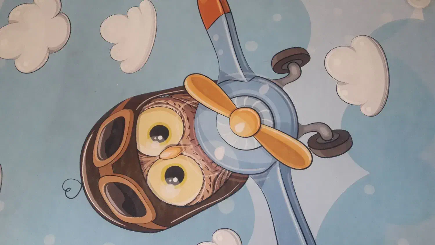 گلیم فرش|گلیم، جاجیم، گبه|بیرجند, |دیوار