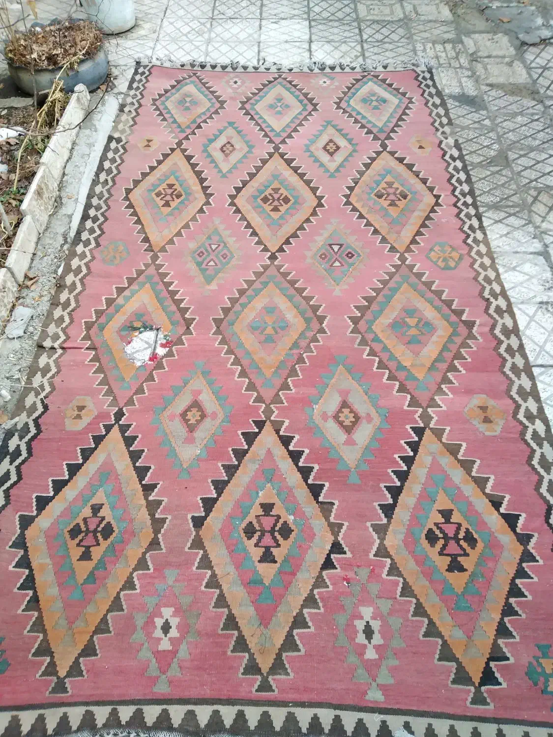 گلیم قدیمی|گلیم، جاجیم، گبه|اشنویه, |دیوار