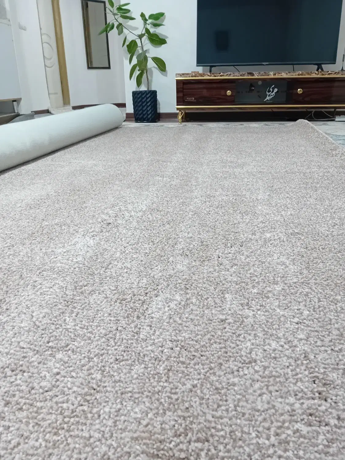 موکت ۱۲ متری|موکت|ایلام, |دیوار