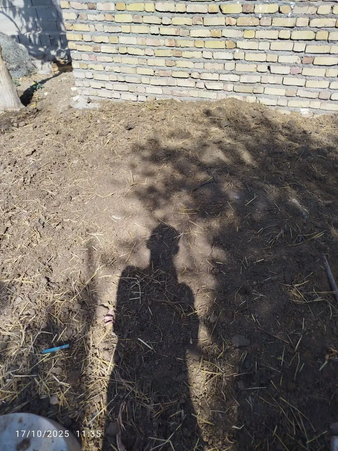 دونیسان پهن گاوی به فروش میرسد|لوازم جانبی حیوانات|گیلوان, |دیوار