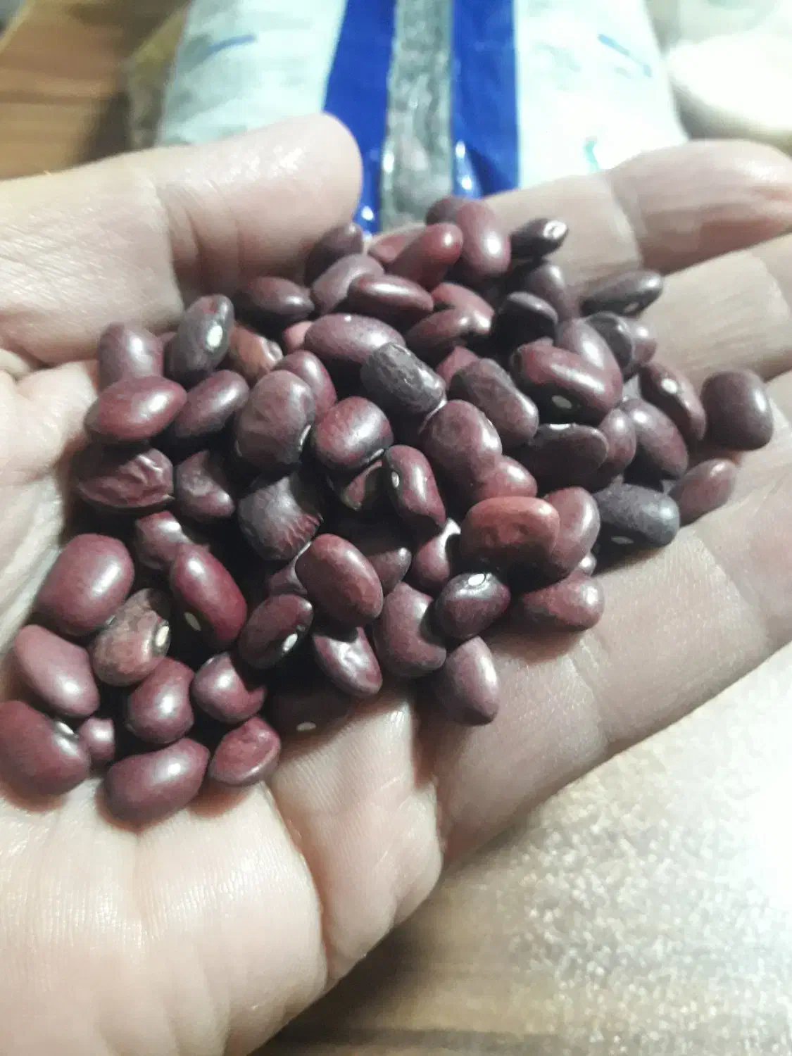 لوبیا قرمز بسته بندی900گرمی|خوردنی و آشامیدنی|کرج, شهر صنعتی|دیوار