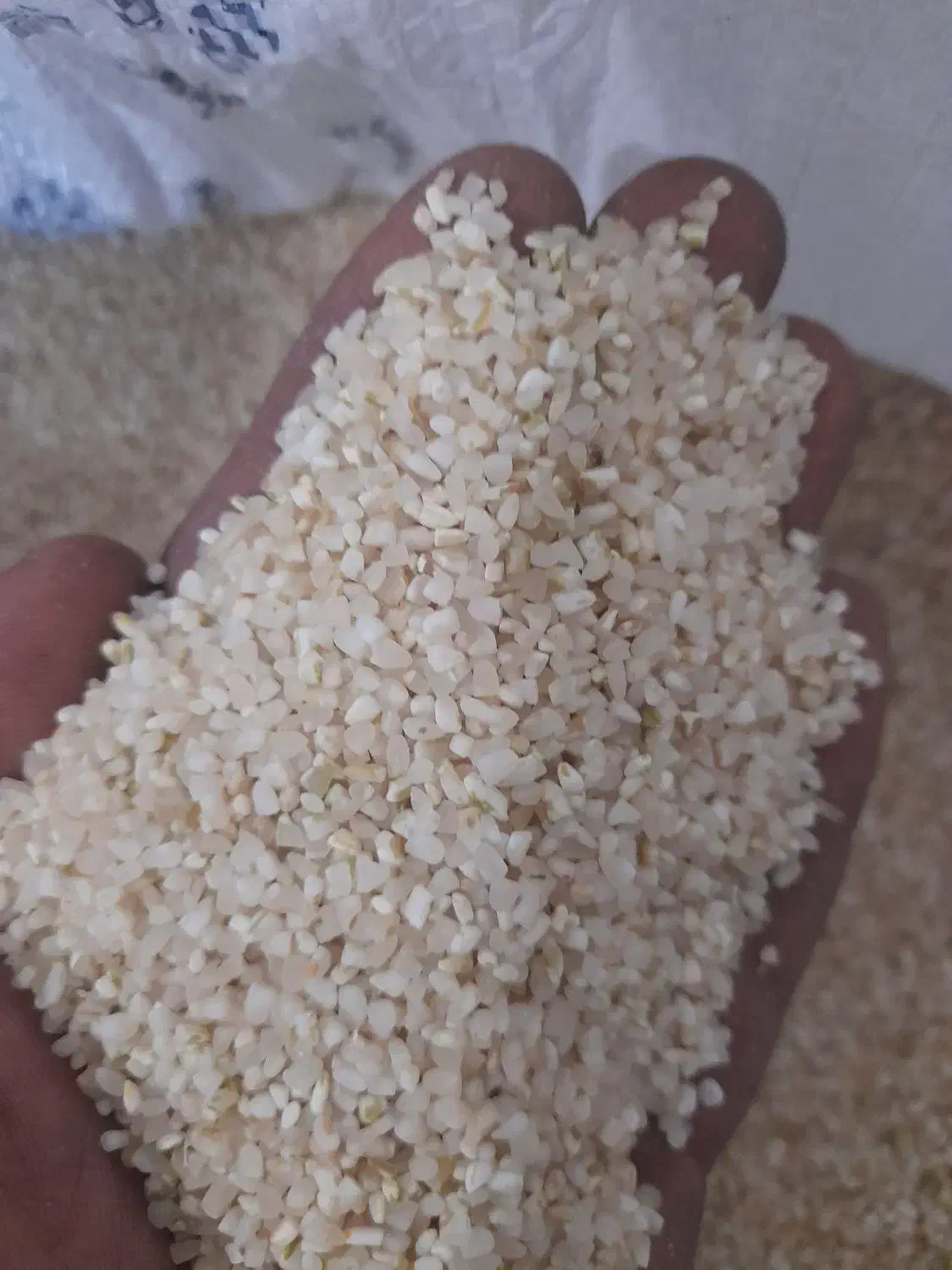 خورده برنج نیم دانه|خوردنی و آشامیدنی|شیراز, کوشک میدان|دیوار