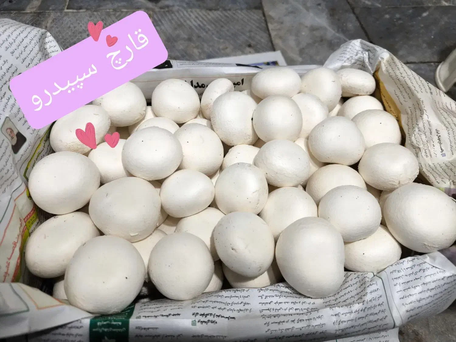 قارچ دکمه ای|خوردنی و آشامیدنی|اصفهان, سنبلستان|دیوار