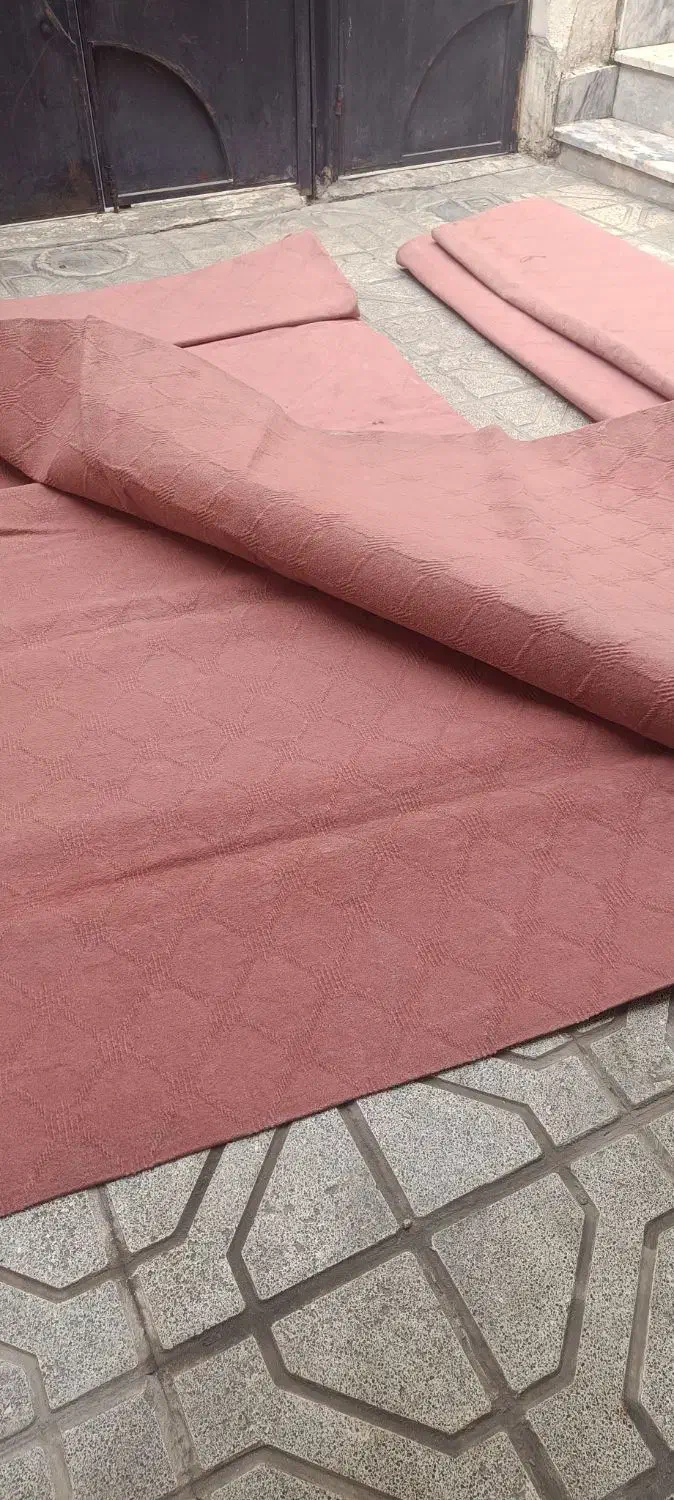 موکت تمیز ومرتب|موکت|مشهد, مشهدقلی|دیوار