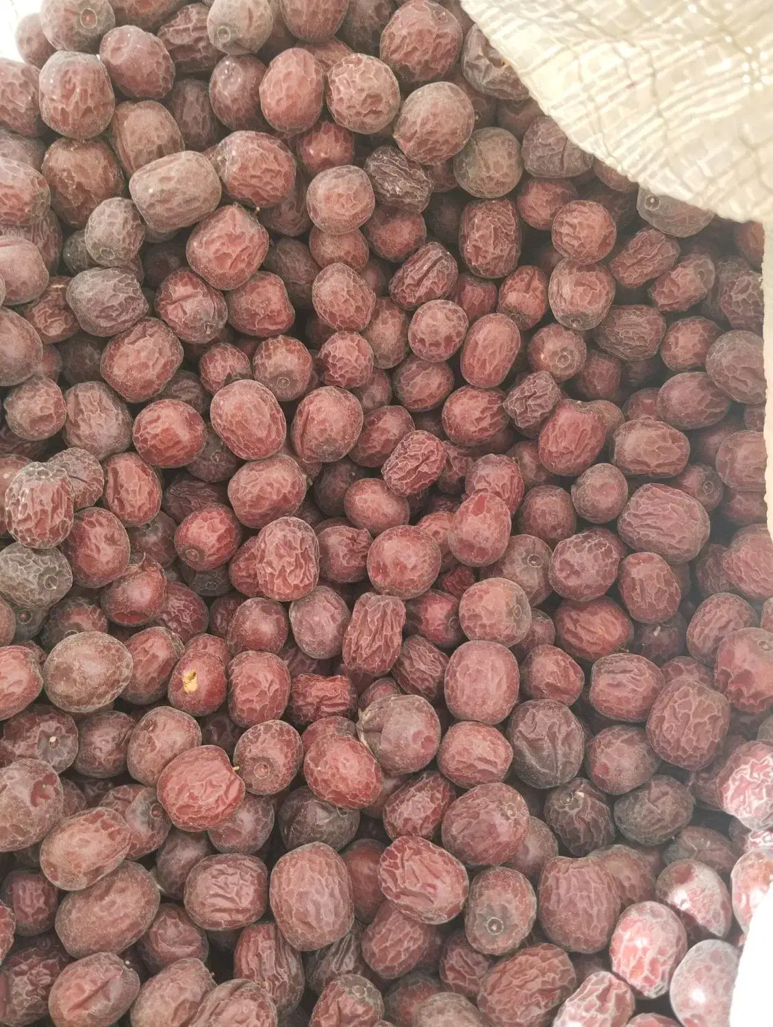 عناب|خوردنی و آشامیدنی|اصفهان, دانشگاه افسری امیرالمومنین|دیوار