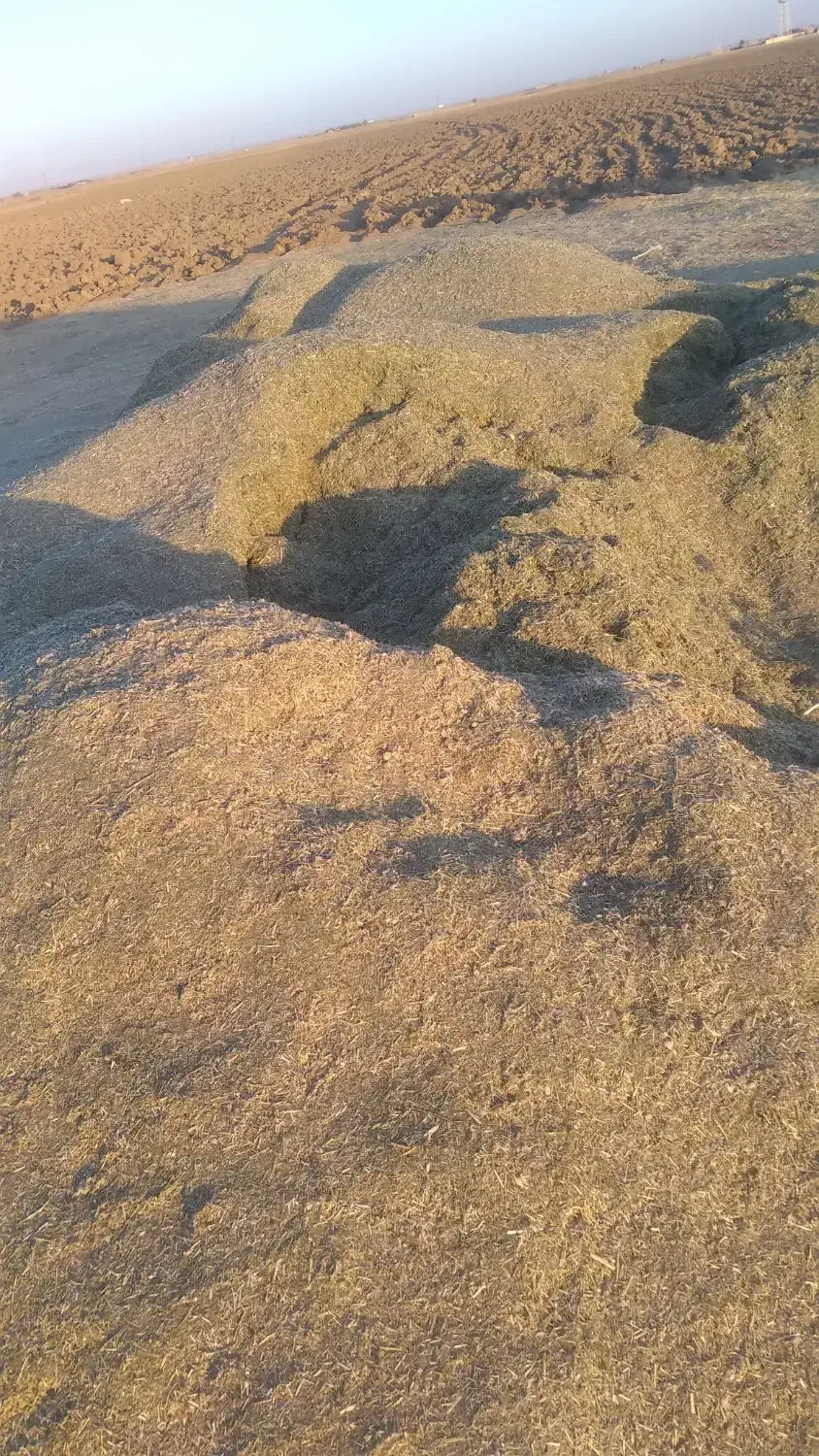 یونجه|لوازم جانبی حیوانات|فامنین, |دیوار