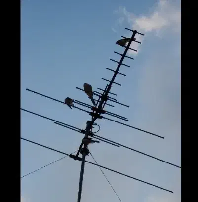 نصب انتن|خدمات پیشه و مهارت|نورآباد ممسنی, |دیوار