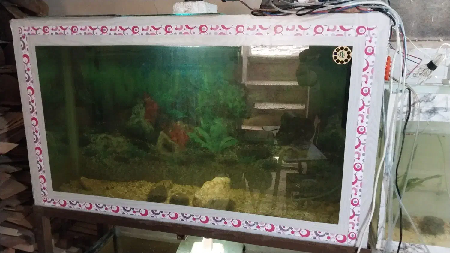 آکواریوم بزرگ با پایه|ماهی|قزوین, |دیوار