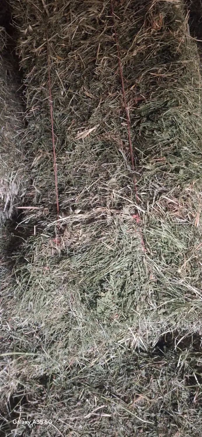 پرس شبدر|لوازم جانبی حیوانات|بروجرد, |دیوار