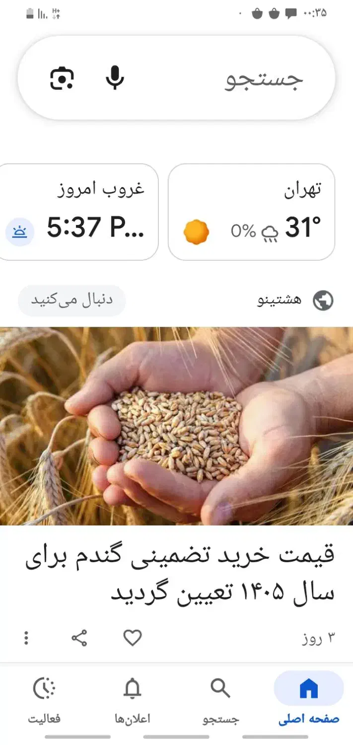 گندم بوجاری شده|گل و گیاه طبیعی|رزن, |دیوار