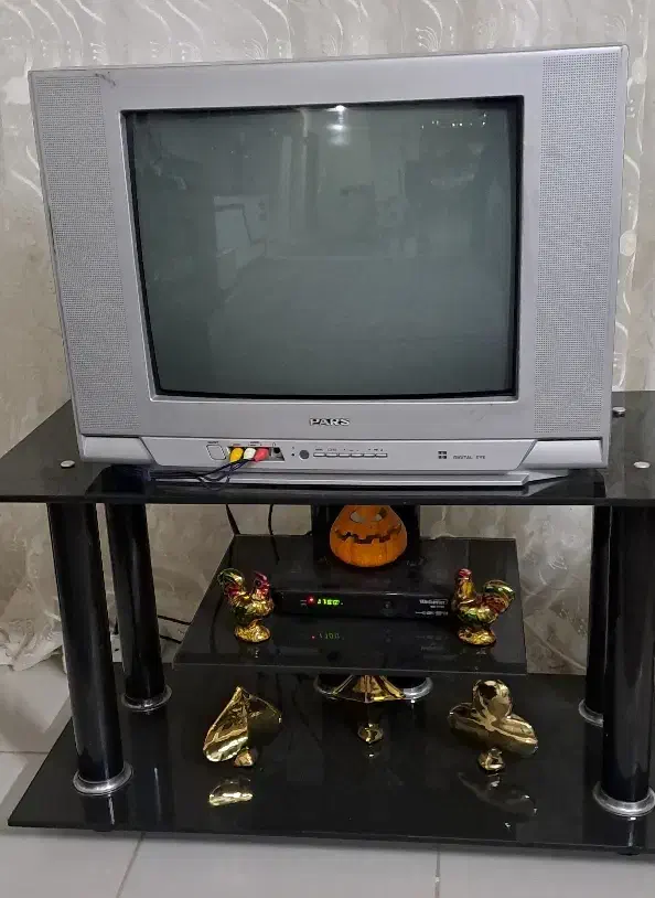 تلویزیون پارس|تلویزیون و پروژکتور|گلبهار, شهر جدید گلبهار|دیوار