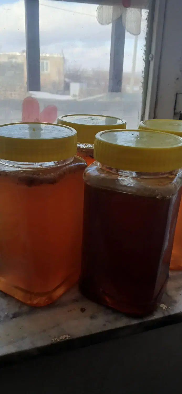 عسل طبیعی|خوردنی و آشامیدنی|دهگلان, |دیوار