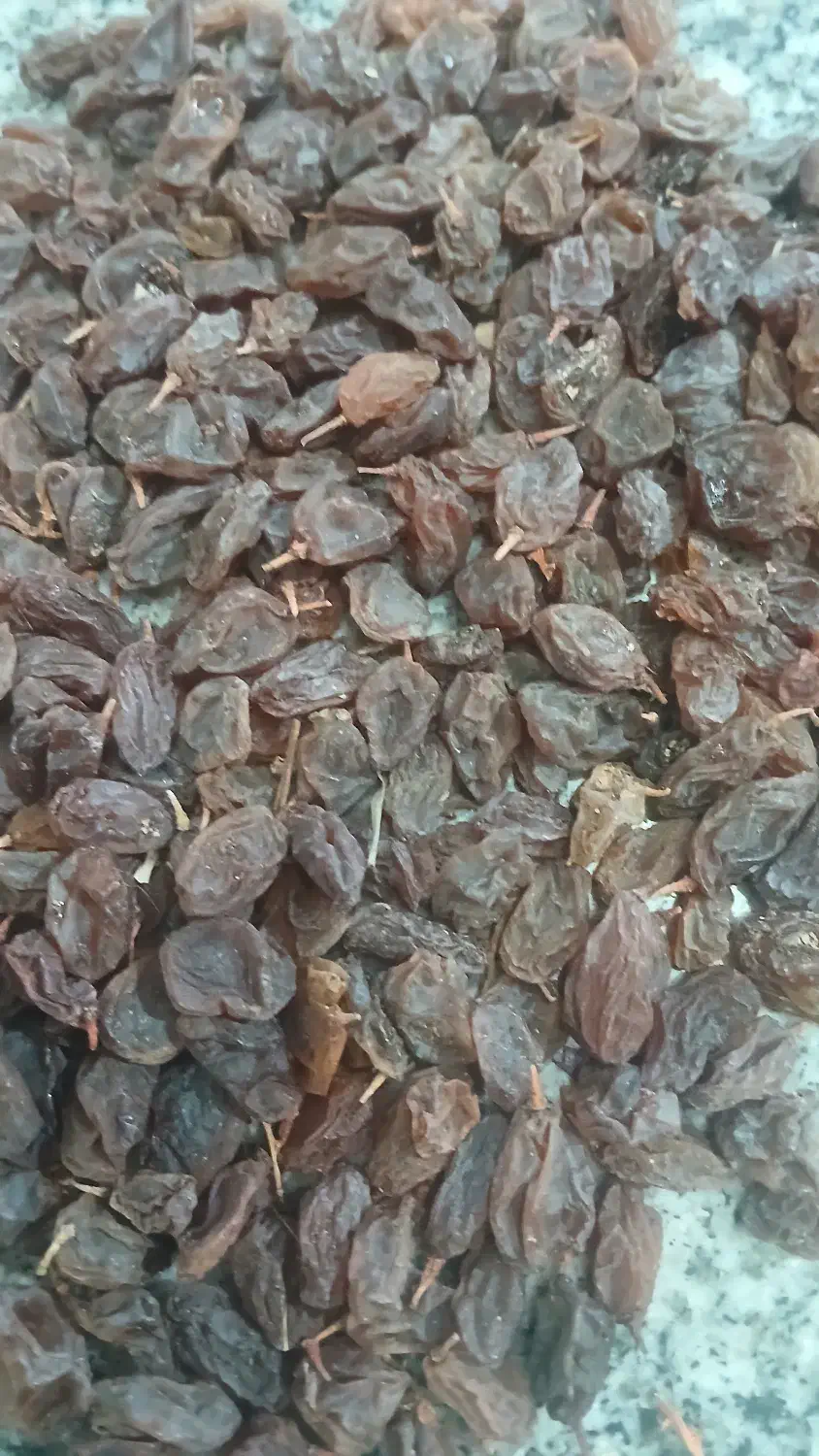 فروش مویزعسکری|خوردنی و آشامیدنی|شیراز, گل سرخ|دیوار