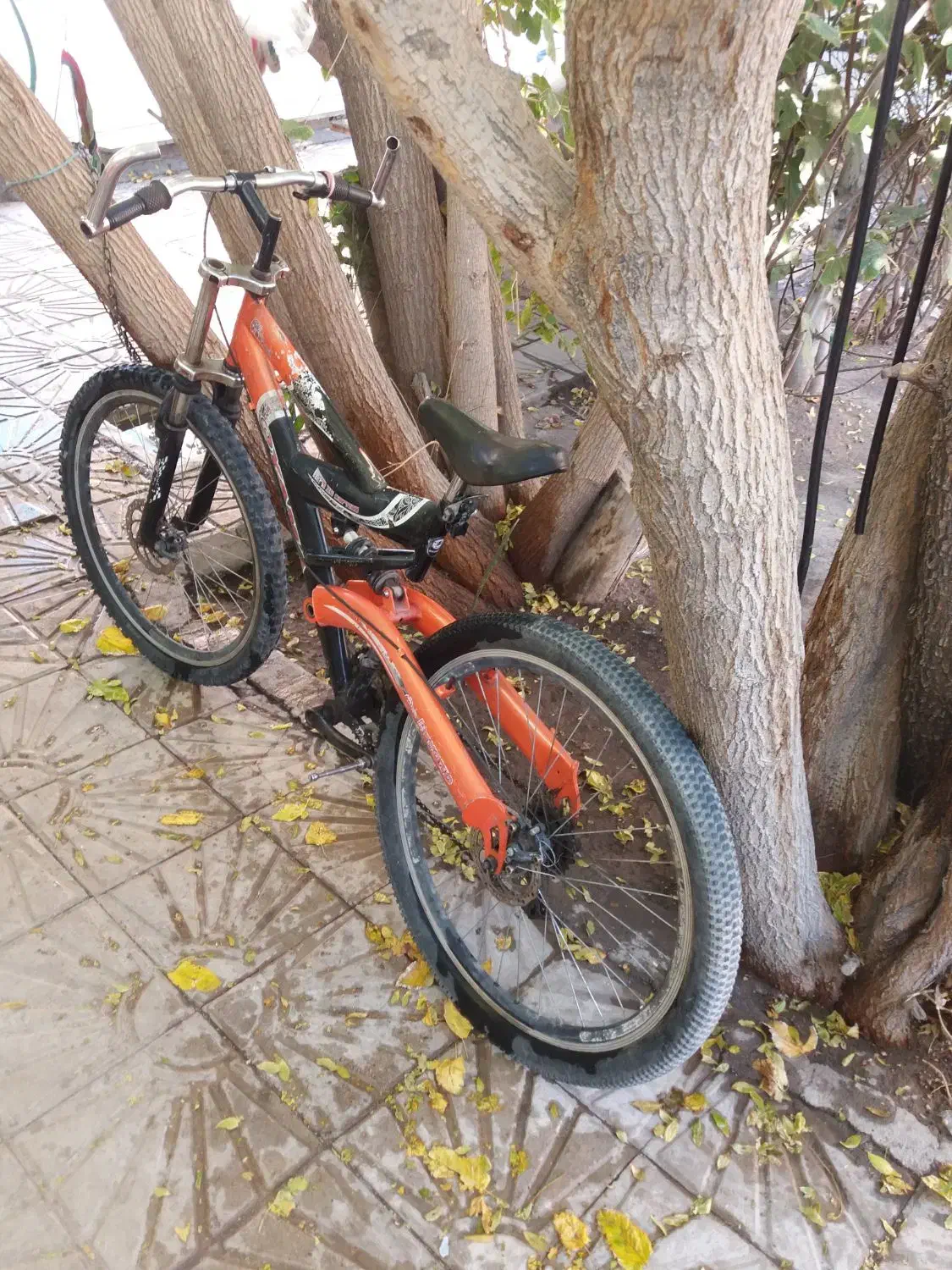 دوچرخ|دوچرخه، اسکیت، اسکوتر|بروجن, |دیوار