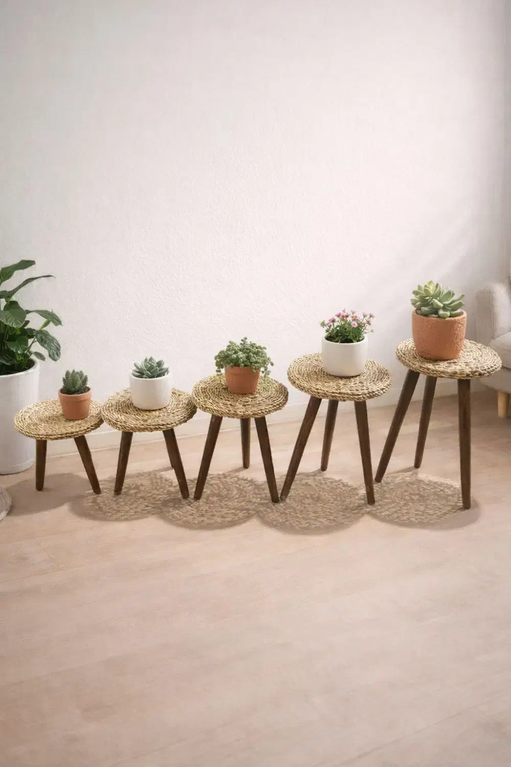 استند گل حصیری کد 21|صنایع دستی و سایر لوازم تزئینی|پاکدشت, پاکدشت (مامازند)|دیوار