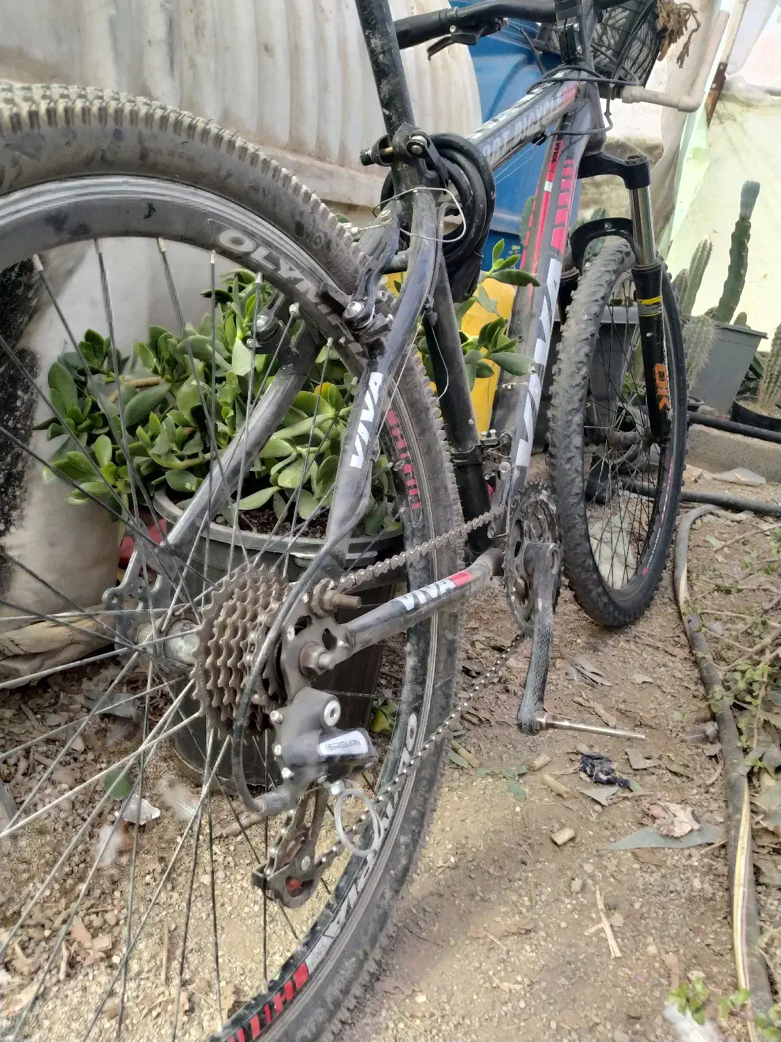 دوچرخه۲۶|دوچرخه، اسکیت، اسکوتر|محمدشهر, محمدشهر|دیوار