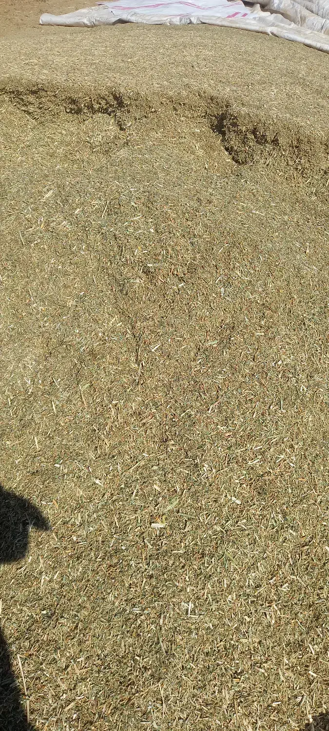 کاه لوبیا سبز|لوازم جانبی حیوانات|هشترود, |دیوار