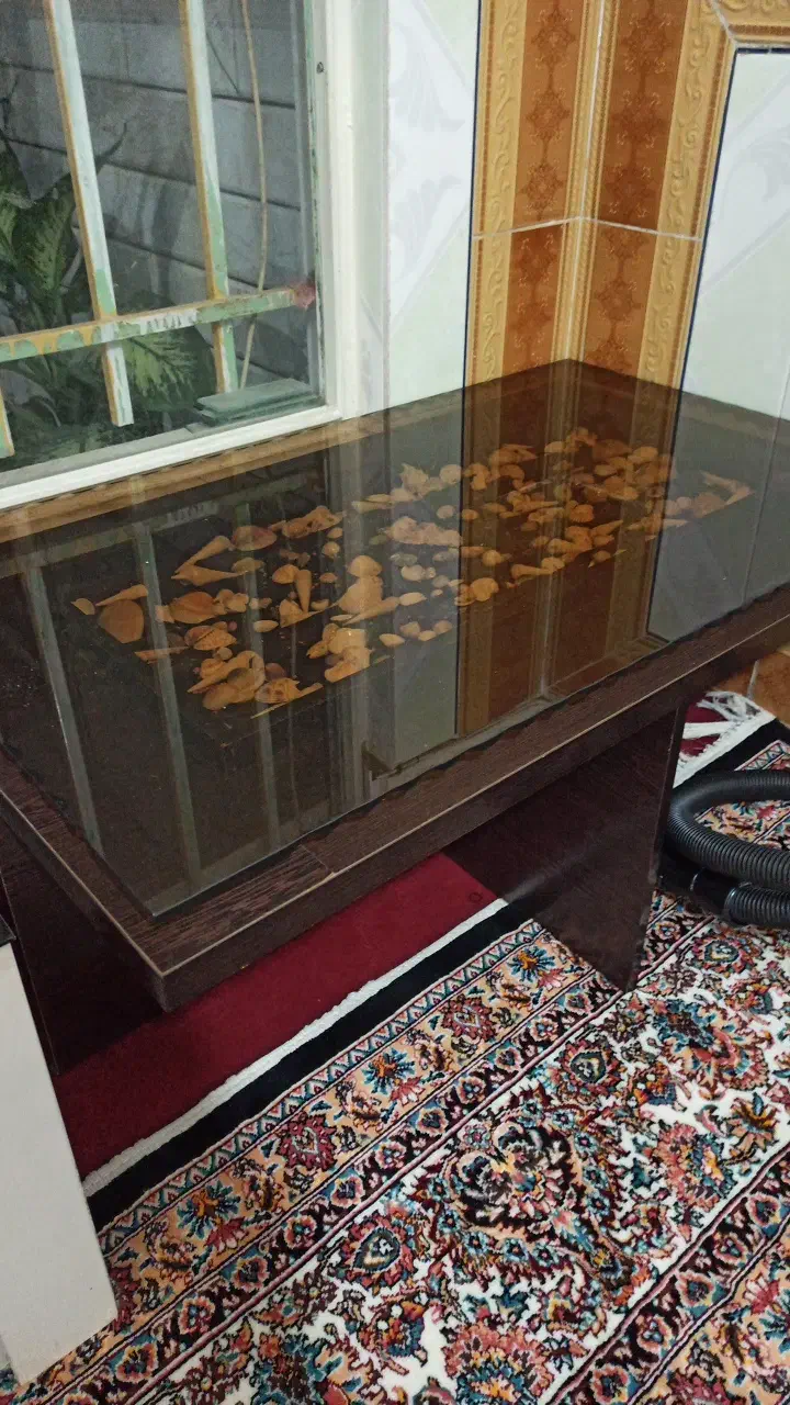 جلو مبلی|مبلمان خانگی و میز عسلی|الیگودرز, |دیوار