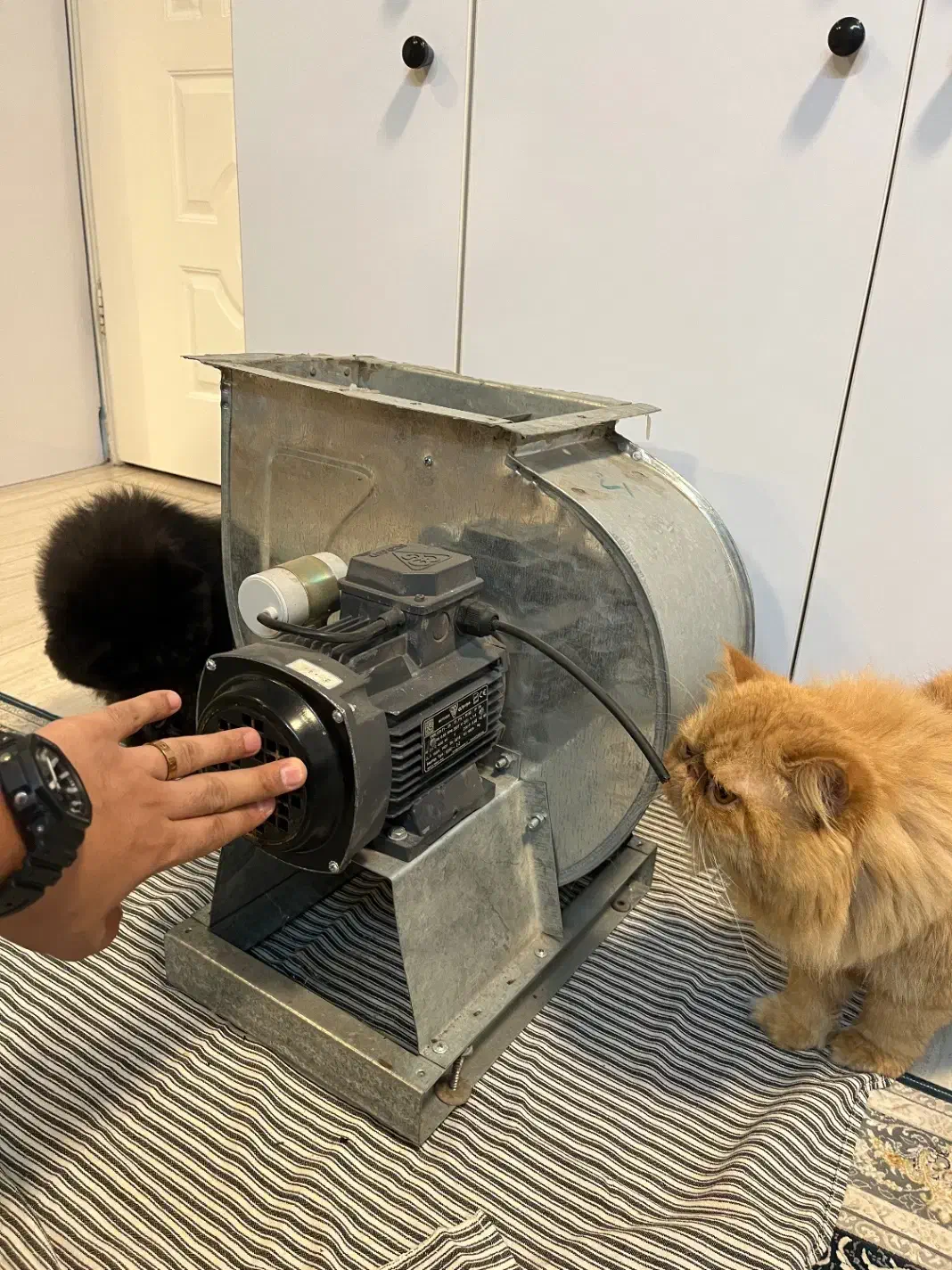 سانتریفیوژ هواکش مکنده نو|ماشین‌آلات صنعتی|رشت, امین الضرب|دیوار