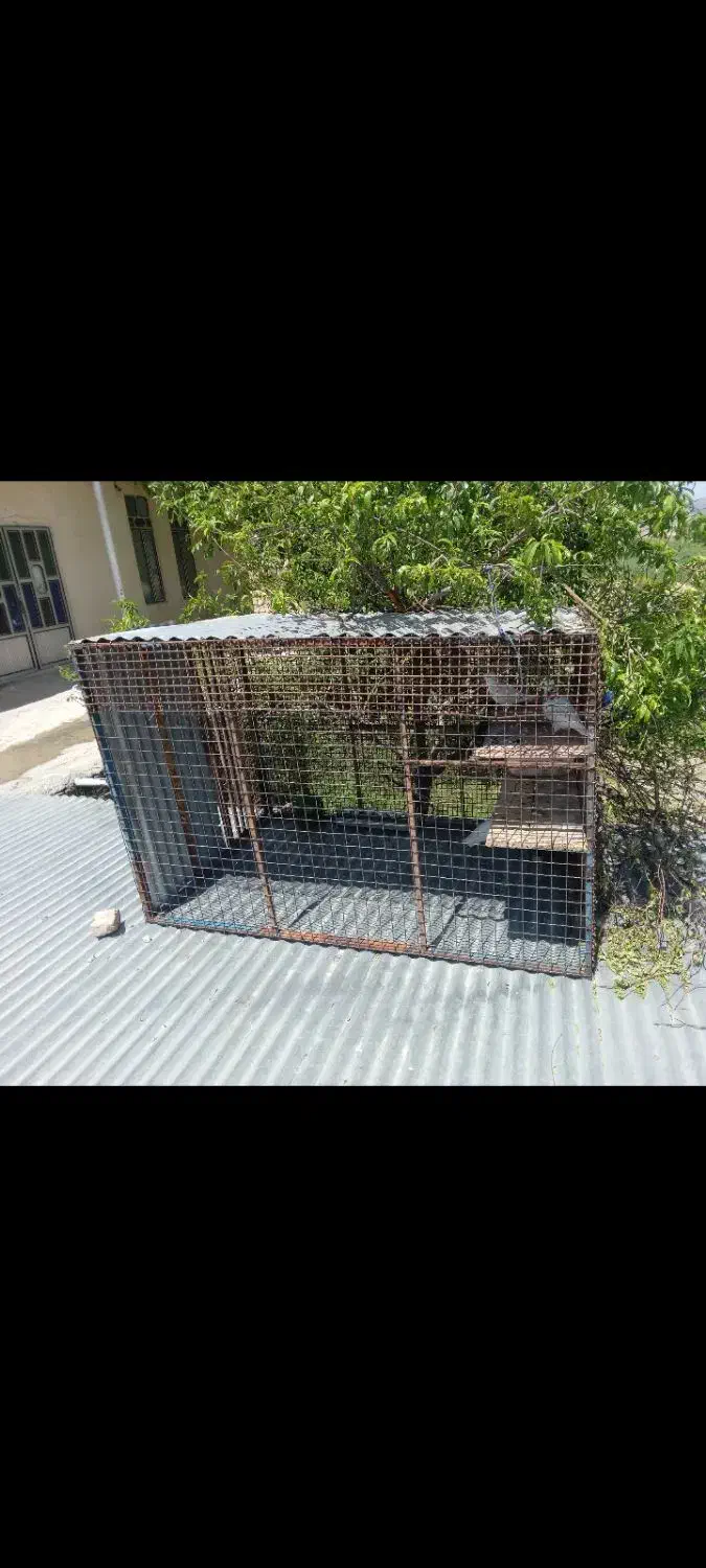 قفس|لوازم جانبی حیوانات|حمیل, |دیوار