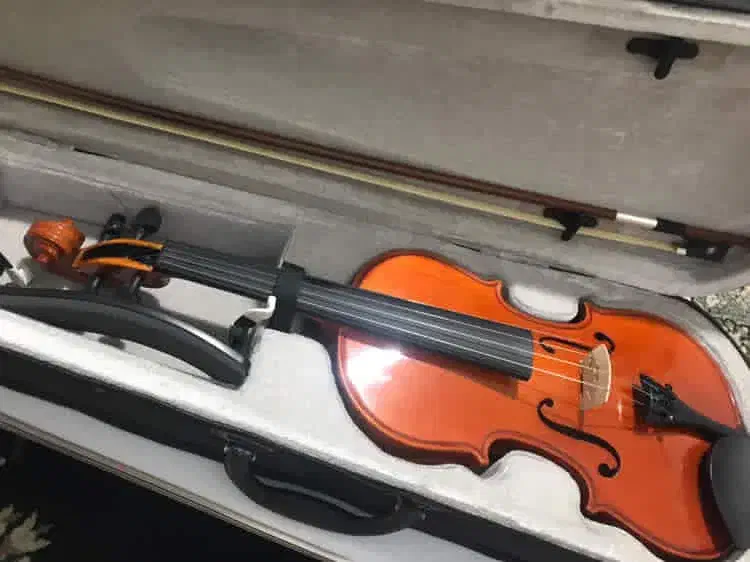 ساز|ویولن|زاهدان, |دیوار