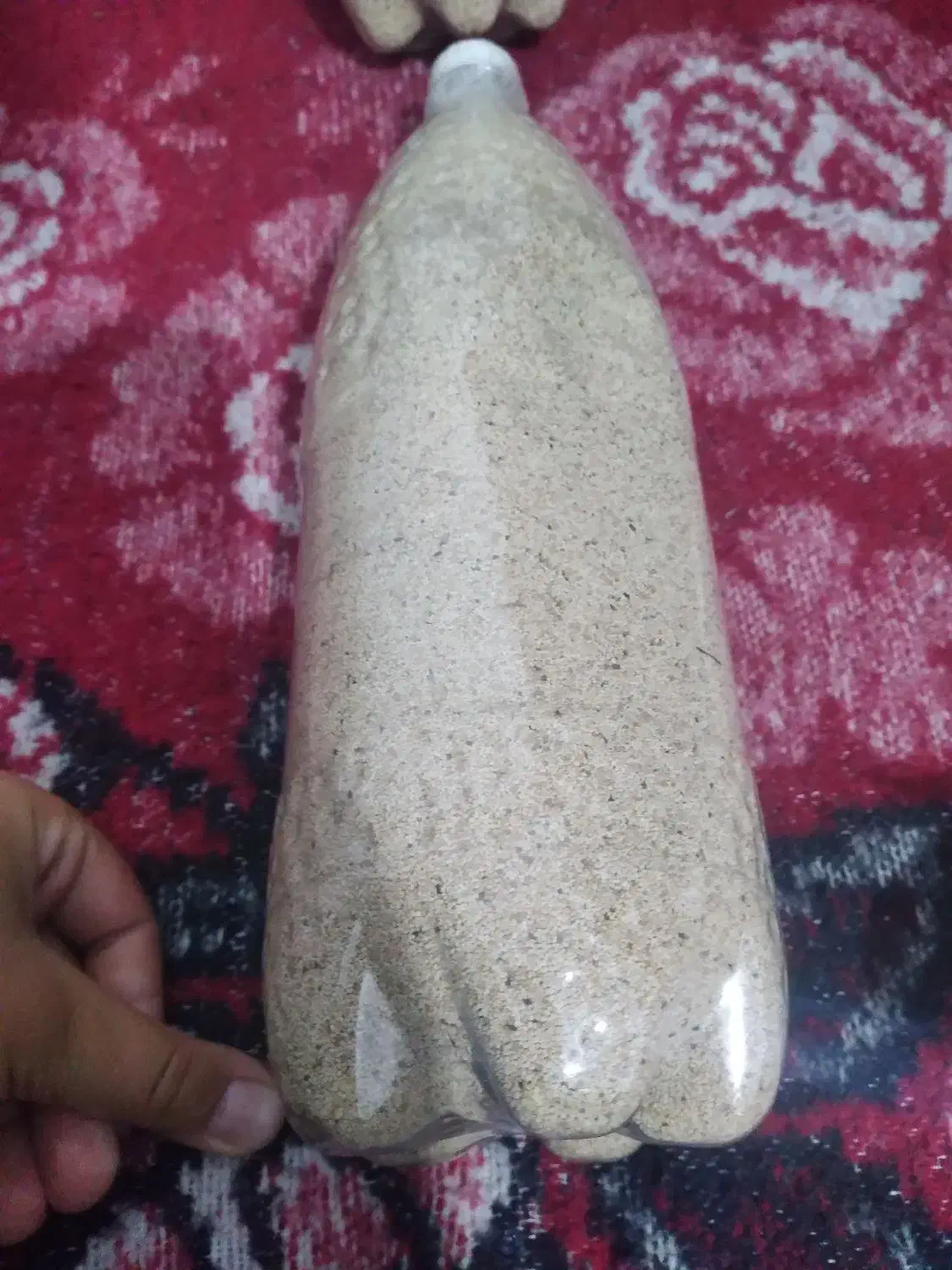 بذر خوارکی دارویی برا کاشت|گل و گیاه طبیعی|کوهدشت, |دیوار