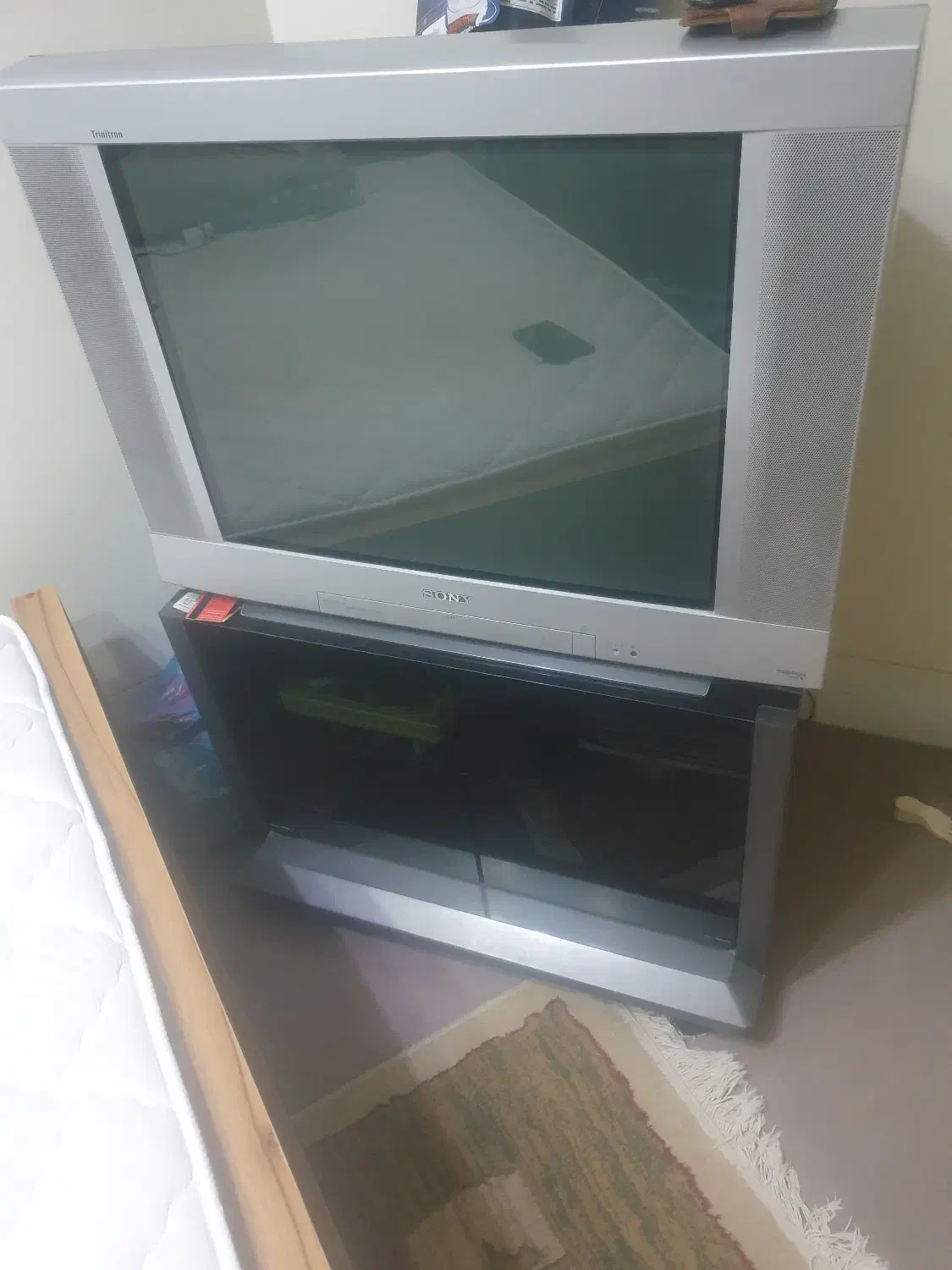 Television|تلویزیون و پروژکتور|شیراز, حافظیه|دیوار