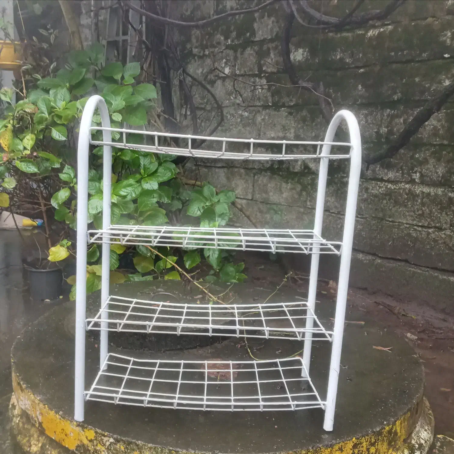 جاکفشی فلزی|جاکفشی، کمد، دراور|بندر انزلی, تختی|دیوار