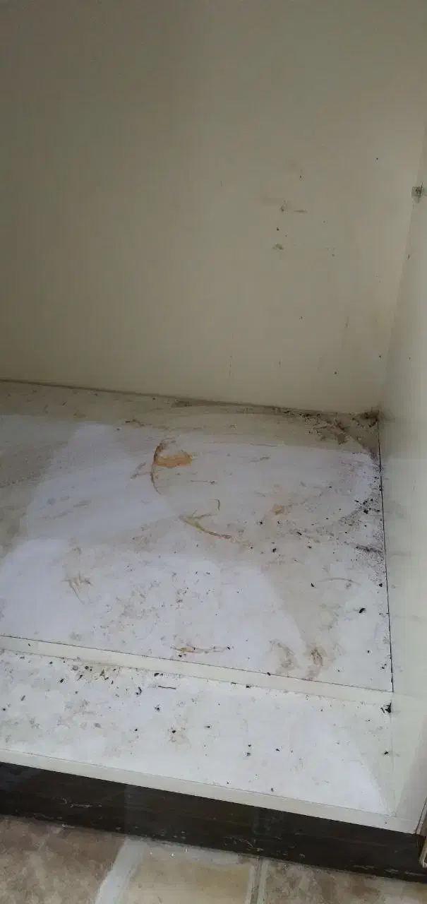 نمونه کار شستشو وپاکسازی|خدمات نظافت|لنگرود, |دیوار