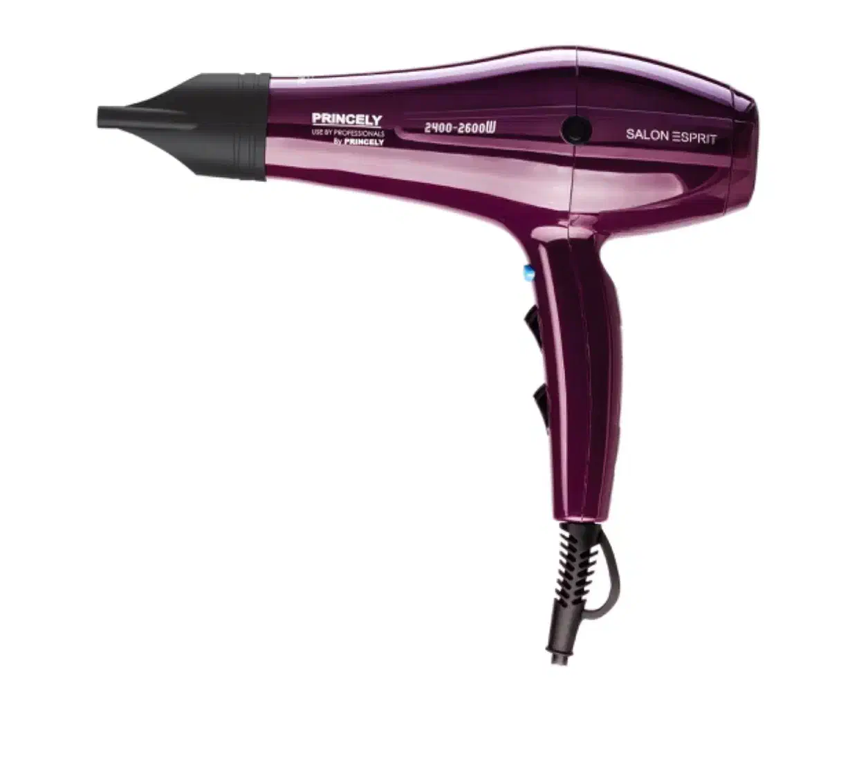 سشوار ‌حرفه‌ای ‌پرینسلی مدل PR250AT|آرایشی، بهداشتی، درمانی|اردبیل, |دیوار